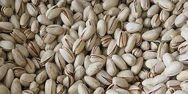 تصویر 5 از قیمت خرید پسته جنگلی مشهد + فروش ویژه